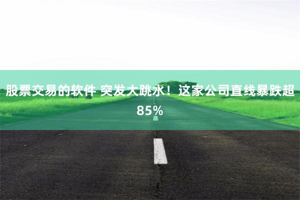 股票交易的软件 突发大跳水！这家公司直线暴跌超85%