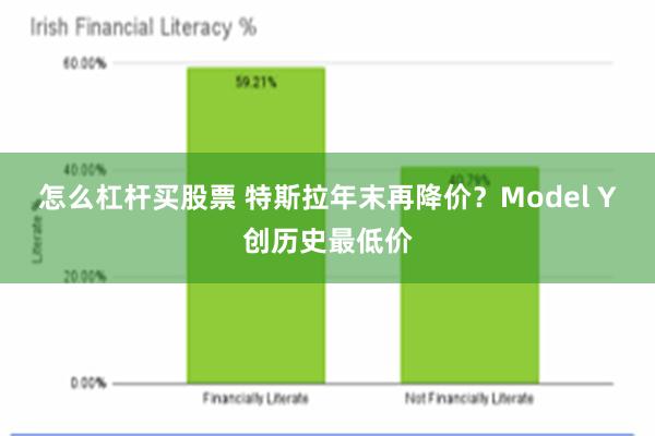 怎么杠杆买股票 特斯拉年末再降价？Model Y创历史最低价