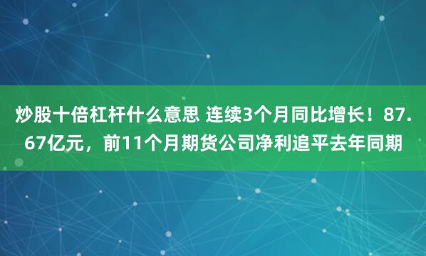 炒股十倍杠杆什么意思 连续3个月同比增长！87.67亿元，前11个月期货公司净利追平去年同期