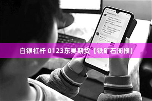 白银杠杆 0123东吴期货【铁矿石周报】