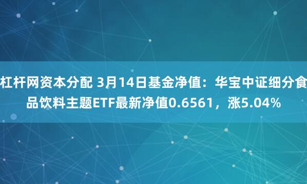 杠杆网资本分配 3月14日基金净值：华宝中证细分食品饮料主题ETF最新净值0.6561，涨5.04%